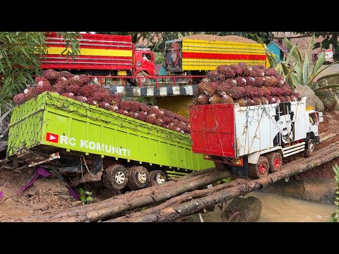 TRUK SAWIT MELINTANG di JEMBATAN‼️🔥 gara-gara mengambil jalan PINTAS, truk HINO500 TRIBAL TERGULING