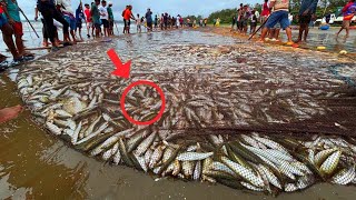 😱 Woow!! Amazing !! Millions 8k of fish catching unbelievable fishing video | Goa
