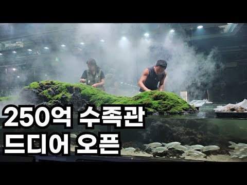 국내 1위 수족관이 드디어 오픈했는데 30톤넘는 어항이 맞나요?망둥어500마리 어항까지..미첬다