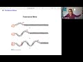 Transverse and Longitudinal Waves Concepts