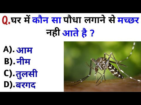 Gk Question In Hindi || Gk General knowledge || Gk Study