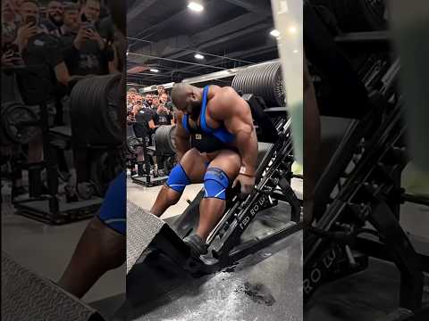 1000 KG Leg Press 😨| Real or Ai #sora2 #ai #gorilla #aishorts#sorashorts #deadlift