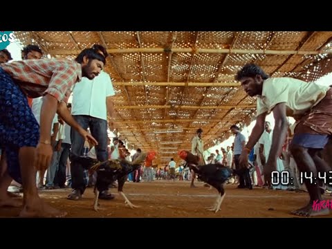 Dhanush And Kishore కోడి పందేలు Best Back To Back Scene | @KiraakVideos
