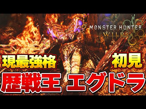 新技が即死級！？歴戦王ヌエグドラ 太刀ソロ初見でボコボコにされたタカティン『モンスターハンターワイルズ』【モンハンワイルズ】