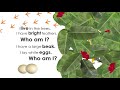 Identifying Features of a Creature