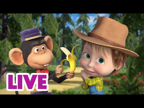 🔴 LIVE! 瑪莎與熊 - 👩‍🏫 謝謝你，老師！📚🍎 | Masha and The Bear