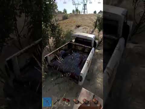 топовий ботік
