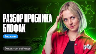 { video title here }