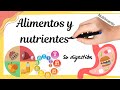 Nutrición y Alimentos
