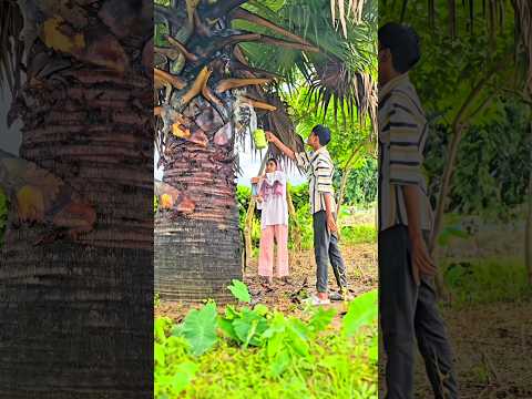 farming reel 👀😱 #song #farming #khetibadi #dailyshorts #virulshorts