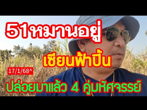 5 1 หมานอยู่ เซียนฟ้าปี้น ปล่อยแล้ว 4 คู่มหัศจรรย์