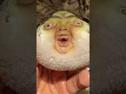 Oh My God😰Wait For End😳Deep sea Creatures are getting Unreal🥹 #viralcontent #reels #shorts #ai