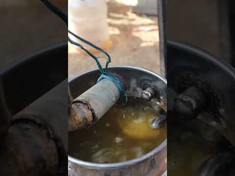 குறைந்த நாட்களிலேயே லட்சங்களில் வருமானம் தரும் தவனம் விவசாயம் | artemisia pallens | dhavanam