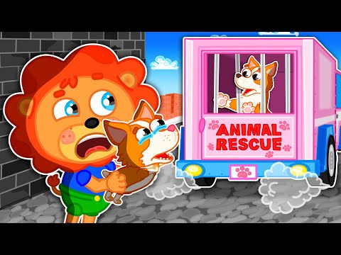 Liam Family USA | Help Puppy to Find Mom | Family Kids Cartoons