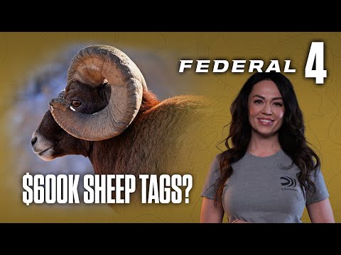Federal 4 with Krystal Dunn: Episode 4