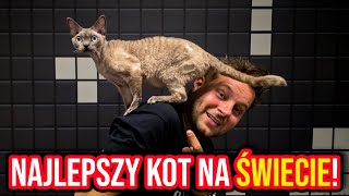 CIEKAWOSTKI O HODOWLI DEVON REX W DOMU