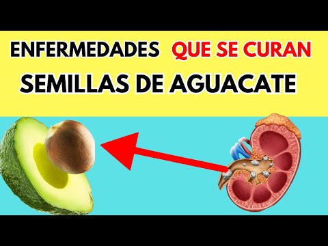 10 ENFERMEDADES QUE SE CURAN CON LA SEMILLAS DE AGUACATE   Y ¿COMO DEBES CONSUMIRLO?