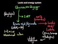 Lactic Acid System in Exercise