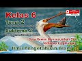 Penyesuaian Diri Hewan Terhadap Lingkungan