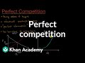 Understanding Perfect Competition