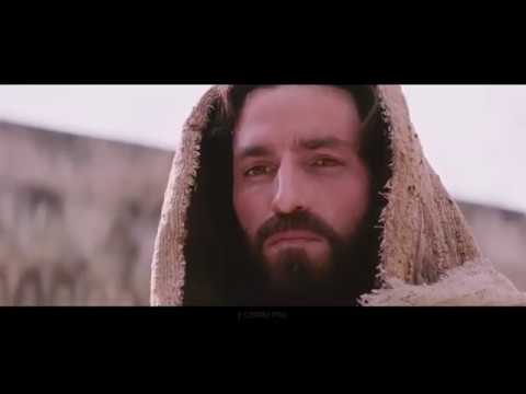 AL QUE HABITA   ALEJANDRA