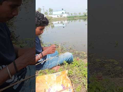 Hook Fishing Adventure: Catching a Tiny Fish! #HookFishing #FishingLife #short #TinyFish #Adventure