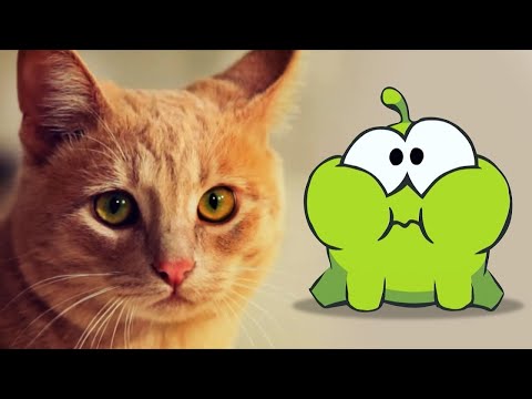 Om Nom Stories - Pelea de gatos por dulces 🐱 🍭 Dibujos animados divertidos para niños