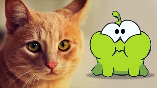 Om Nom Stories - Pelea de gatos por dulces 🐱 🍭 Dibujos animados divertidos para niños