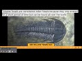 Understanding Earth's History Through Rock Layers and Fossils