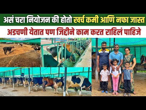 अस नियोजन तुम्ही पाहिलं नसेल! | Hf cow dairy farming in maharashtra