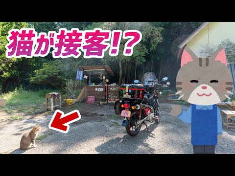 【モトブログ】映えスポットに猫が接客する屋台カフェが出現!? 富津の隠れ家的お店④【クロスカブ110】