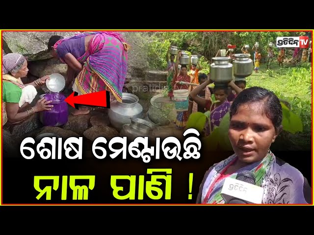 ପିଇବା ପାଣି ପାଇଁ ଯିବାକୁ ପଡ଼ୁଛି ୨ କିଲୋମିଟର ,ନାହିଁ ପାନୀୟ ଜଳ ବ୍ୟବସ୍ଥା Drinking water crisis in Gajapati