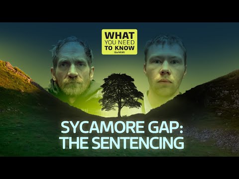 Sycamore Gap vandals sentenced: what you need to know | ITV News