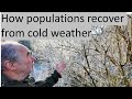 Population Dynamics and Ecology Concepts