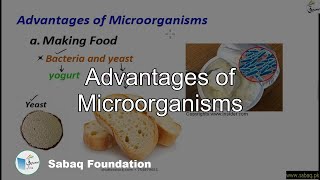 Advantages of Microorganisms