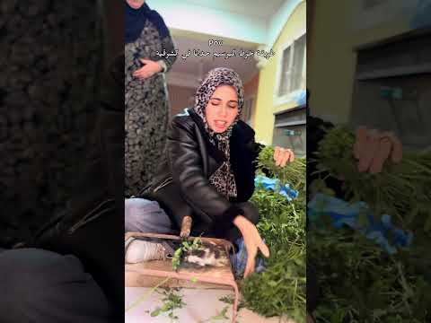 طريقة خرط البرسيم حدانا في الشرقية #باربي_الشرقية