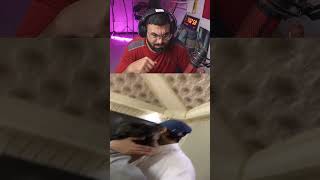 تضحك تخسر 🤐💧 المايك 🎤