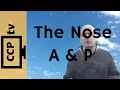 Functions and Anatomy of the Nose