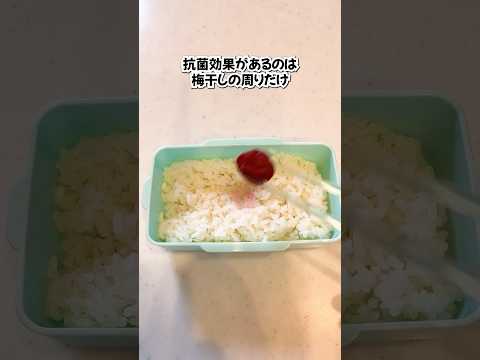 食中毒に気をつけて！お弁当のNG6選#shorts