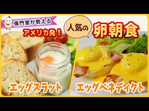 【専門家が教える】アメリカ発！人気のタマゴ朝食　エグスラット／エッグベネディクトの作り方　～ぎゅっとタマゴ～