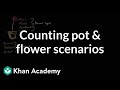 Flower and Pot Combinations