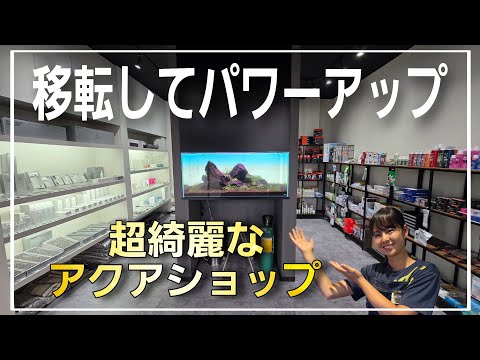 移転して超パワーアップ!!激レア種が沢山奇跡のアクアショップ‼　『フロレスタ』aquarium　アクアリウム　熱帯植物　金魚　熱帯魚　水草　流木　メダカ