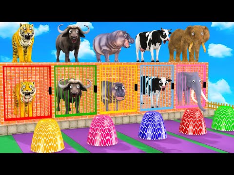 Long Slide Game With Elephant Gorilla Buffalo Hippopotamus Tiger - 3d Animal Cage Game - Funny 3d