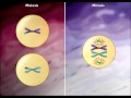 Difference Between Mitosis and Meiosis