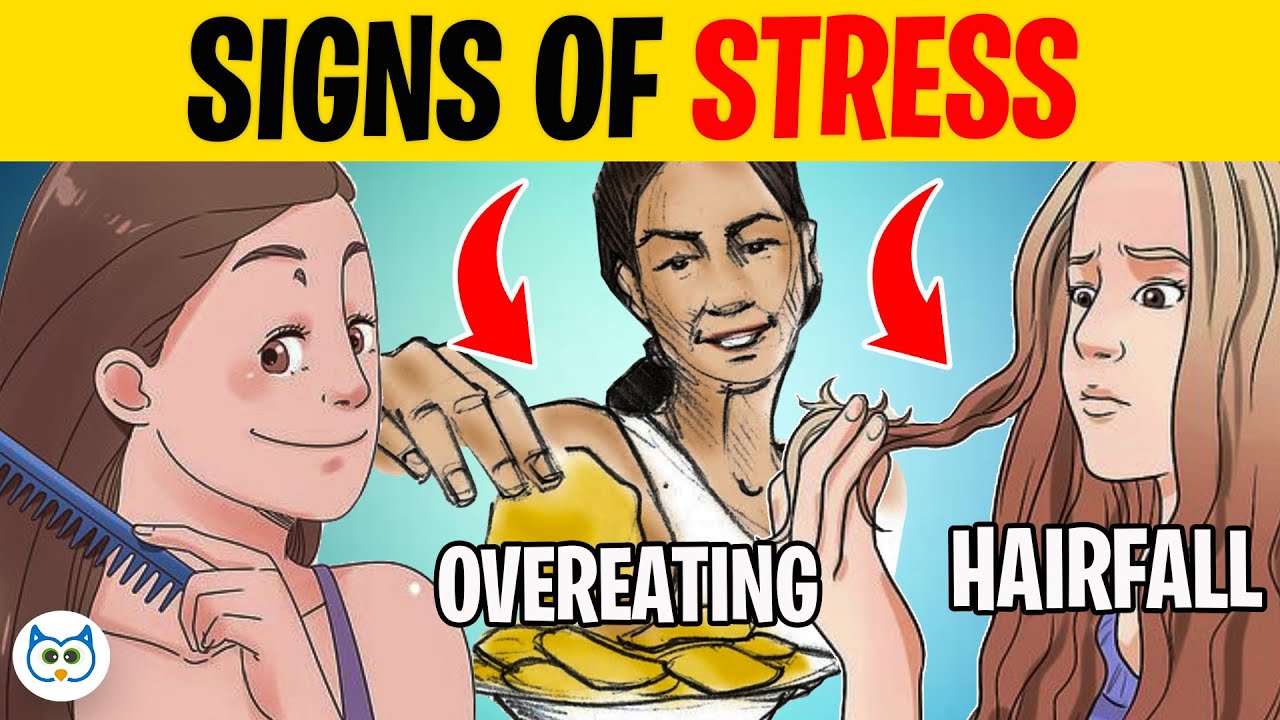 8 Signs You Are Too Much Stressed