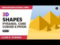 Understanding 3D Shapes and Properties