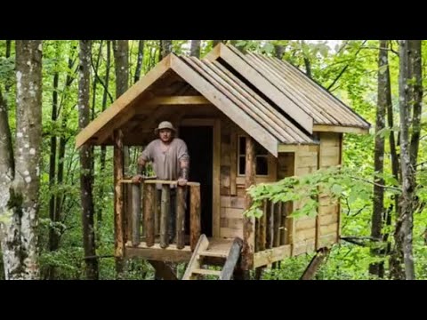 building a shelter on a tree is amazingly sturdy❗️