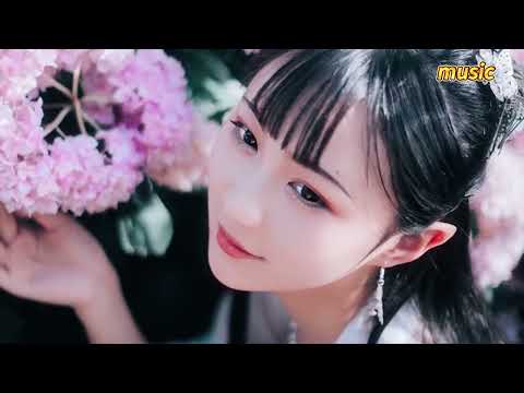 聞人聽書《美人畫卷（DJ沈念版）》KTV 伴奏 no vocal 無人聲 music 純音樂 karaoke 卡拉OK 伴唱聞人聽書《美人畫卷（DJ沈念版）》