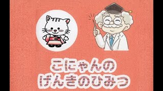 こにゃんのげんきのひみつ～こども向け食育～【湖南市健康推進員協議会】