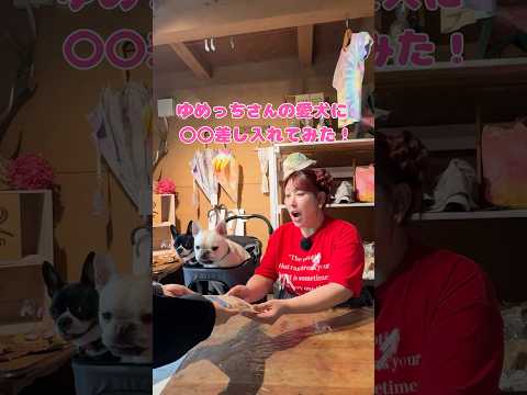 群馬ロケ中のブブくん・ひまちゃんに差し入れ!#群馬県 #わんちゃん #おやつ #みなかみ町 #かつお節